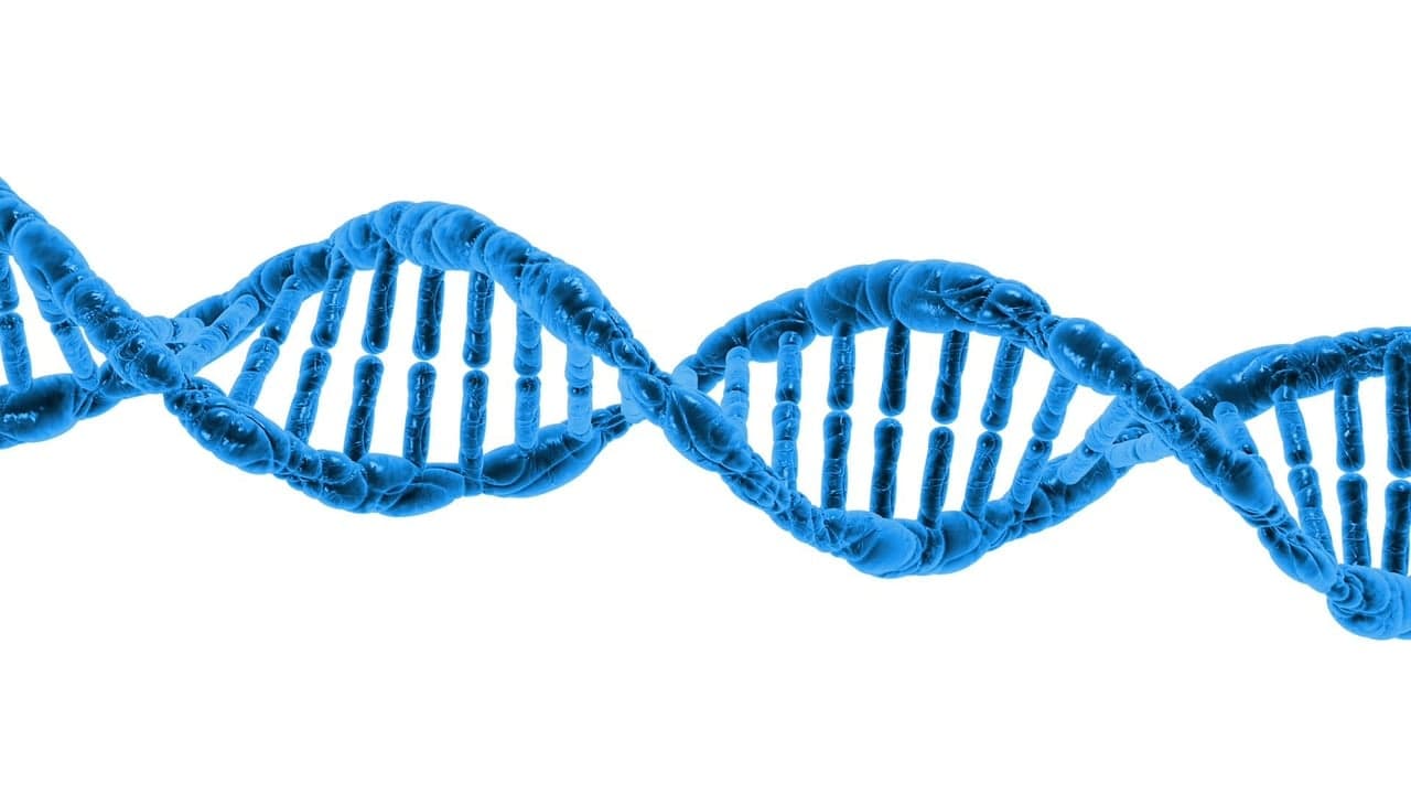 DeepMind publishes AlphaGenome Atlas mapping effects of every single-base human genome mutation