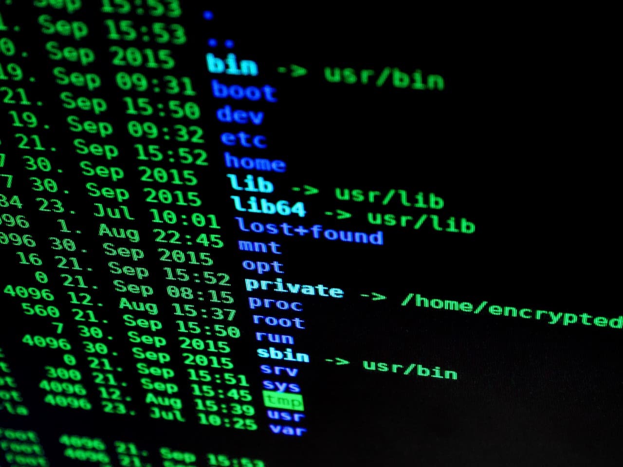 A unified command for configuring coding AI tools