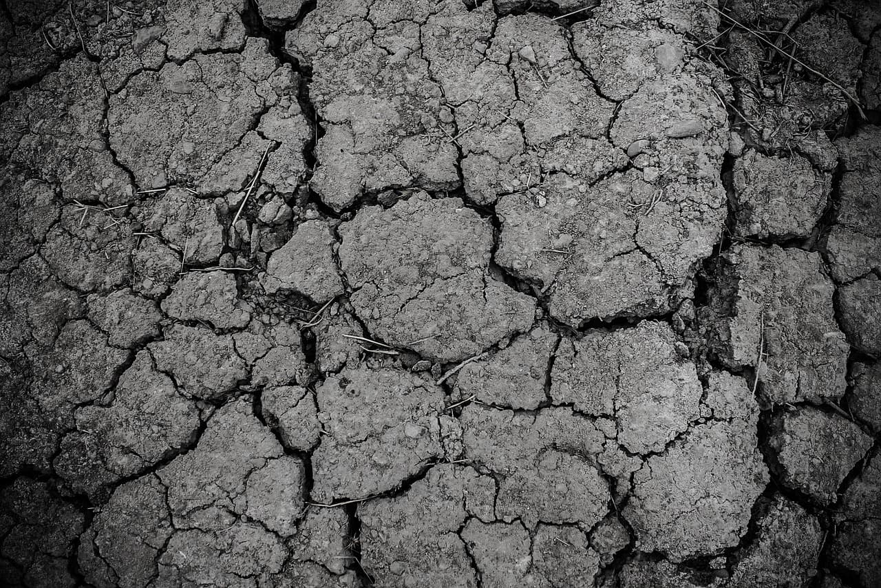 Why the Great Hungarian Plain Can't Easily Switch Crops as Droughts Increase