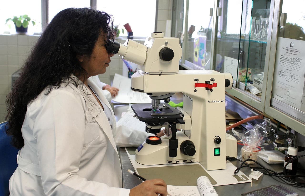 Stanford AI Designs Synthetic Bacteriophages, Raising Promise and Biosecurity Concerns