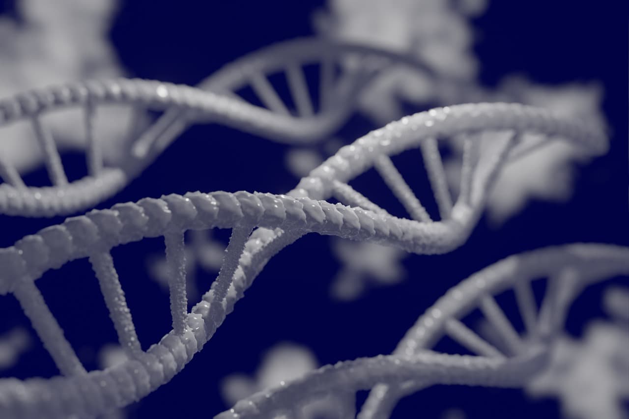 When European GWAS Help — and When They Harm: Transferability of PRS to Non‑European Populations