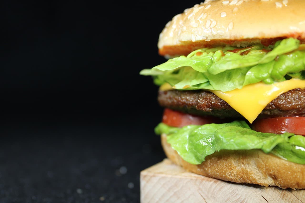 Researchers used a diffusion-based AI to design burgers that trade taste, health and environmental impact