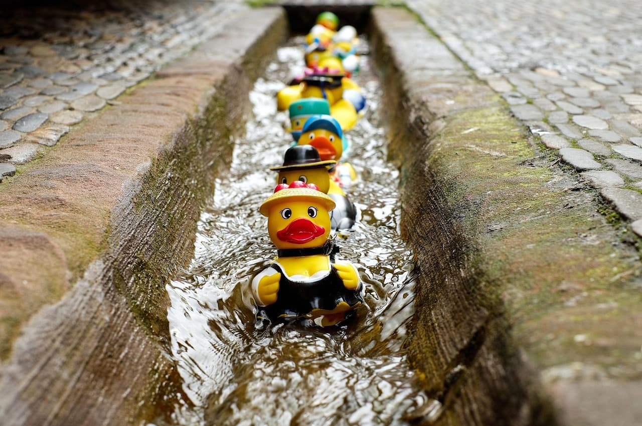 Microduck-őrület: Nvidia-vezér játszik, 20 000 előrendelés karácsonyra