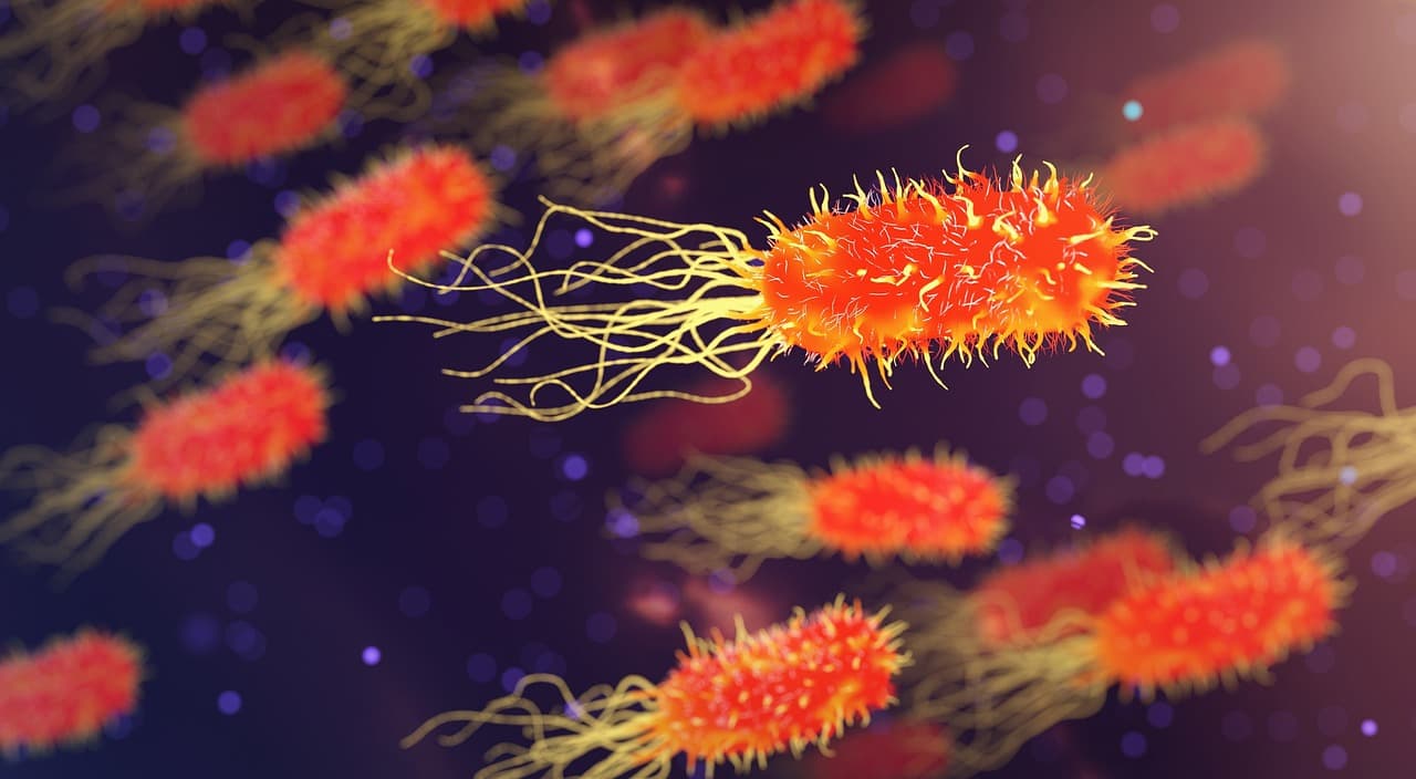 AI Quantifies TROP2 to Enable Clinical Testing of Reqorsa Response