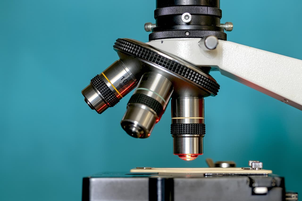 Szeged team combines single-cell visual and molecular analysis to map tumour heterogeneity