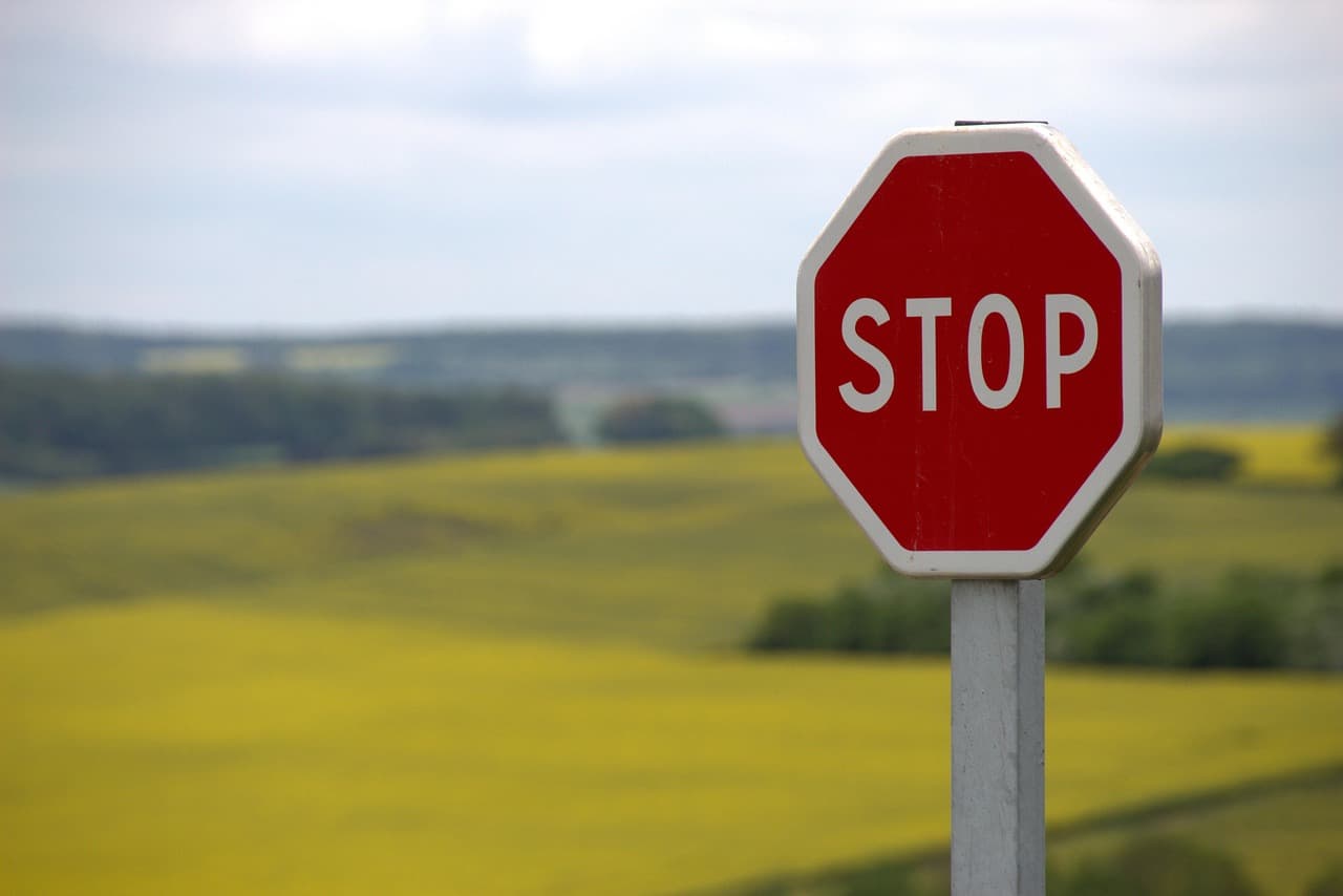 Leading AI Labs Call for Slower Pace but Say No One Can Slow Alone
