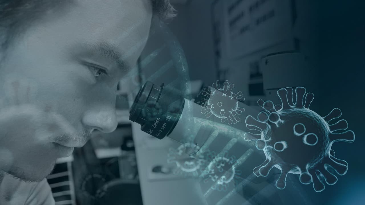 Anthropic operates a Bay Area wet lab for fundamental biology alongside its AI work